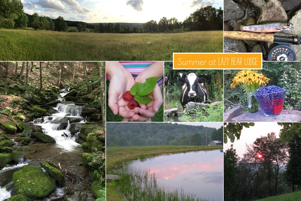Private Dog-Friendly Home: 3 Mi to Elk Mountain House in Pennsylvania