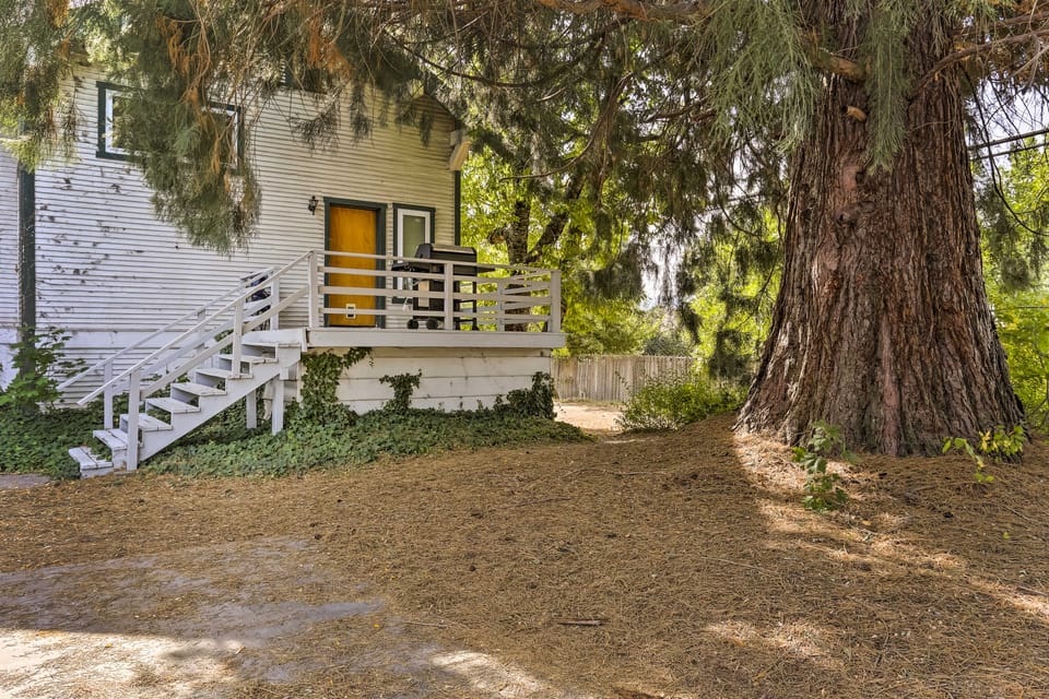 Cozy Studio Near Hiking & Skiing, Walk to Downtown Apartment in Mount Shasta