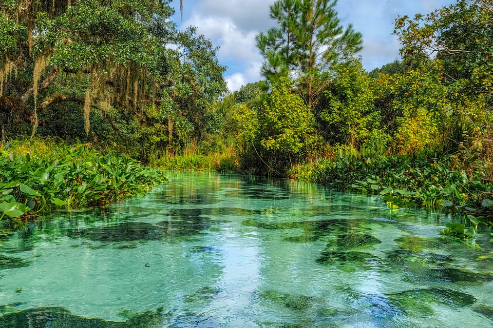 Riverfront Apopka Cabin: Paddle & Relax House in Apopka