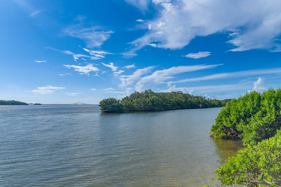 Ocean Views + Pool Access: Tierra Verde Condo! Apartment in Tierra Verde
