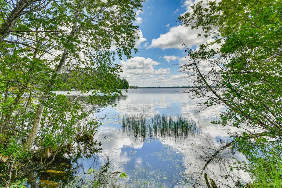 400-Acre Outdoor Enthusiast's Lodge in Mancelona! House in Michigan