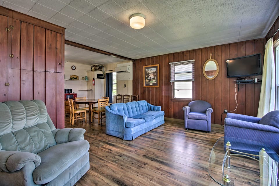 Pet-Friendly Beachfront Dent Cabin w/ Grill! House in Minnesota