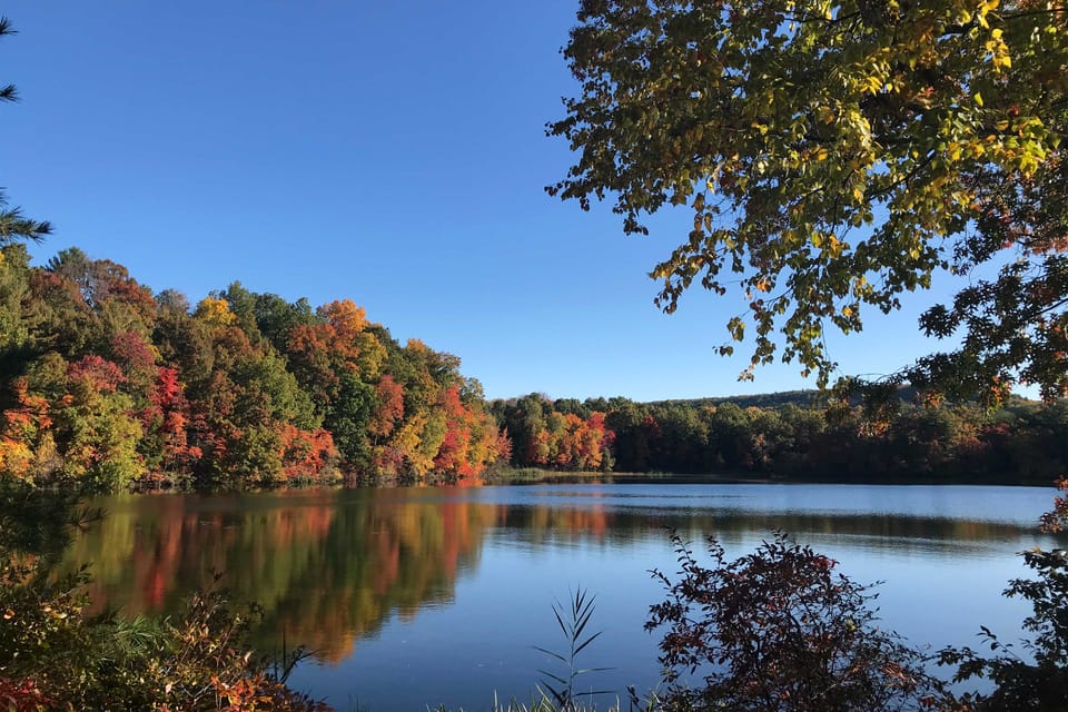 Lakefront Granby Escape w/ Private Dock & Kayaks! House in Connecticut