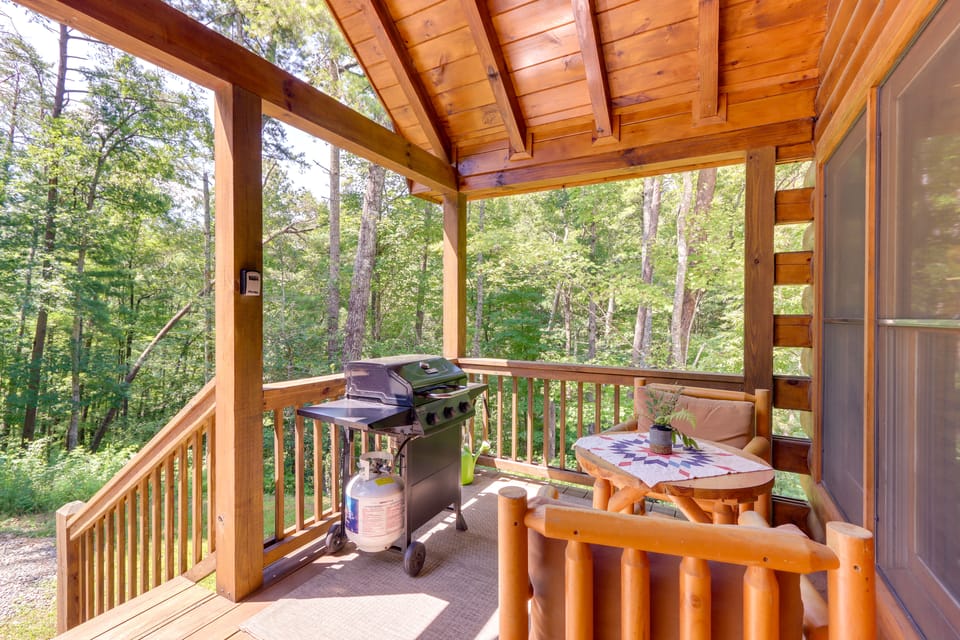Cherry Log Couple’s Cabin Near Hiking & Waterfalls House in Georgia