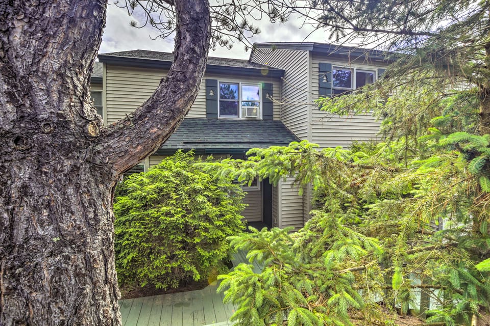 Lake Placid Gem w/ Patio & Views < 1 Mi to Beach! Apartment in Lake Placid