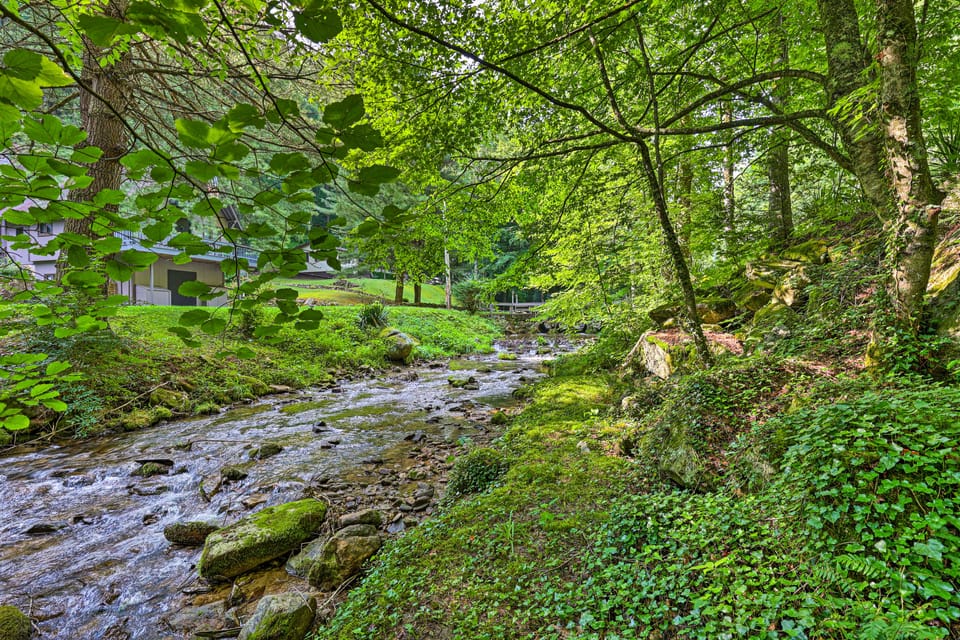 Bring Your Pet! Roan Mtn Cabin w/ On-Site Creek House in Tennessee