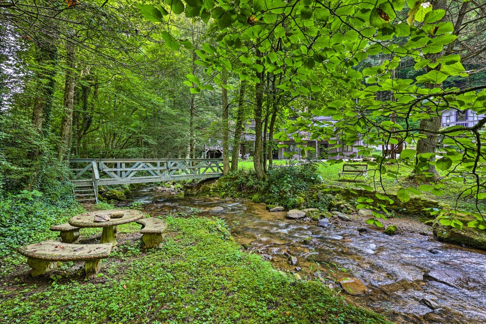 Outdoor Groups! Roan Mtn Cabin Across from Creek House in Tennessee