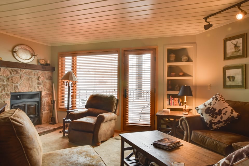 'Eagle's Nest' Crested Butte Townhome w/ Mtn Views Apartment in Colorado