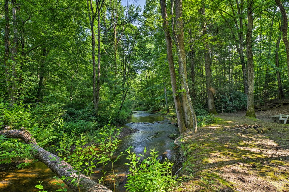 5 Acres, Backyard Creek! Cabin in Tellico Plains House in Tennessee