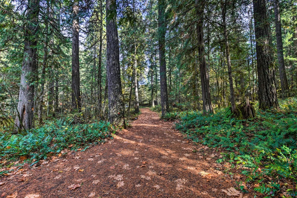 River Views, Private Hot Springs Tub, Forest, Deck Cottage in McKenzie River