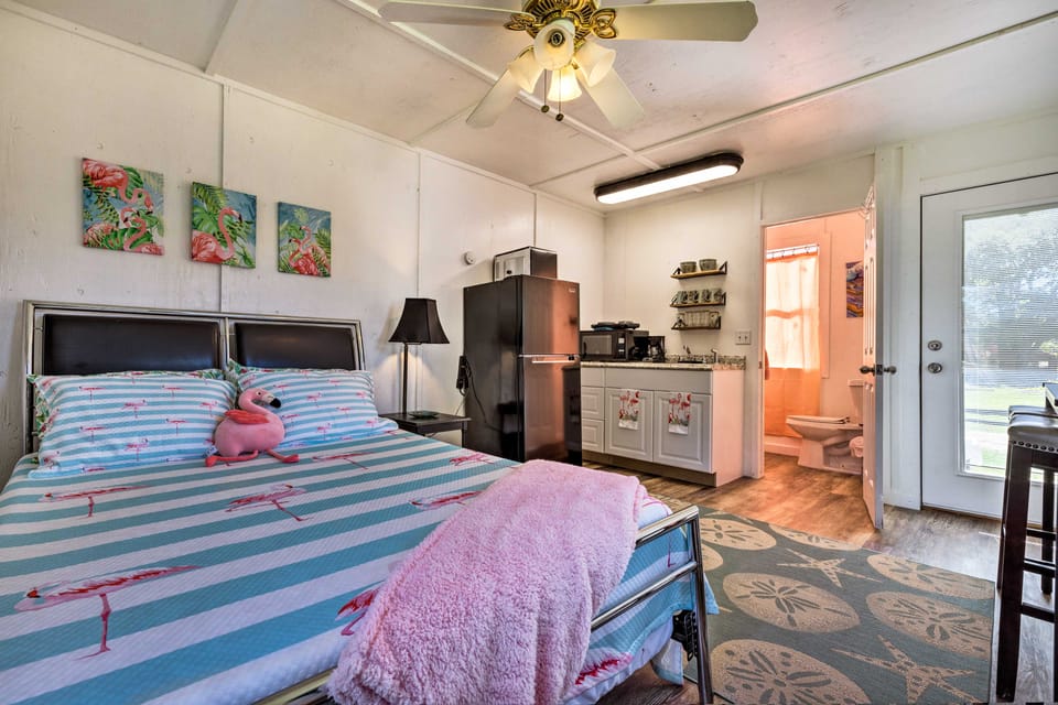 Flirty Flamingo' Studio: 1 Mi to Canyon Lake Apartment in Canyon Lake