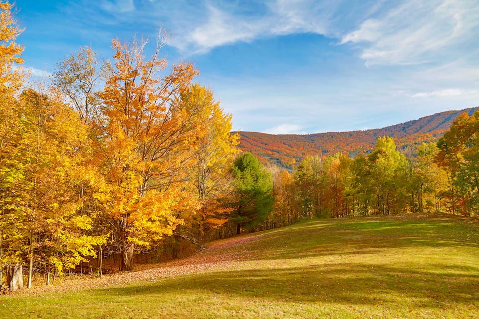 'The Mountain House:' Windham Retreat w/ Hot Tub! House in Windham