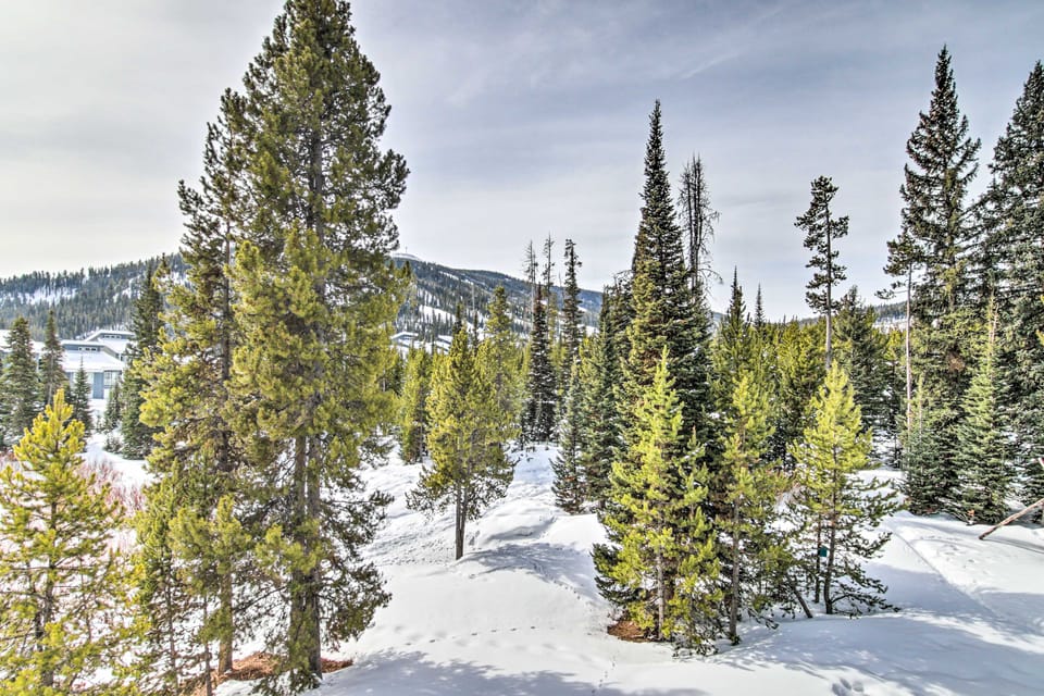 Prismatic Mountain Studio < 1 Mi to Big Sky Resort Apartment in Big Sky