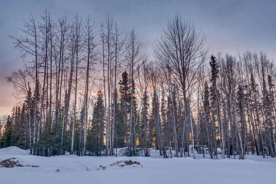 Kenai River Adventures! Peaceful & Quiet Apt Apartment in Alaska
