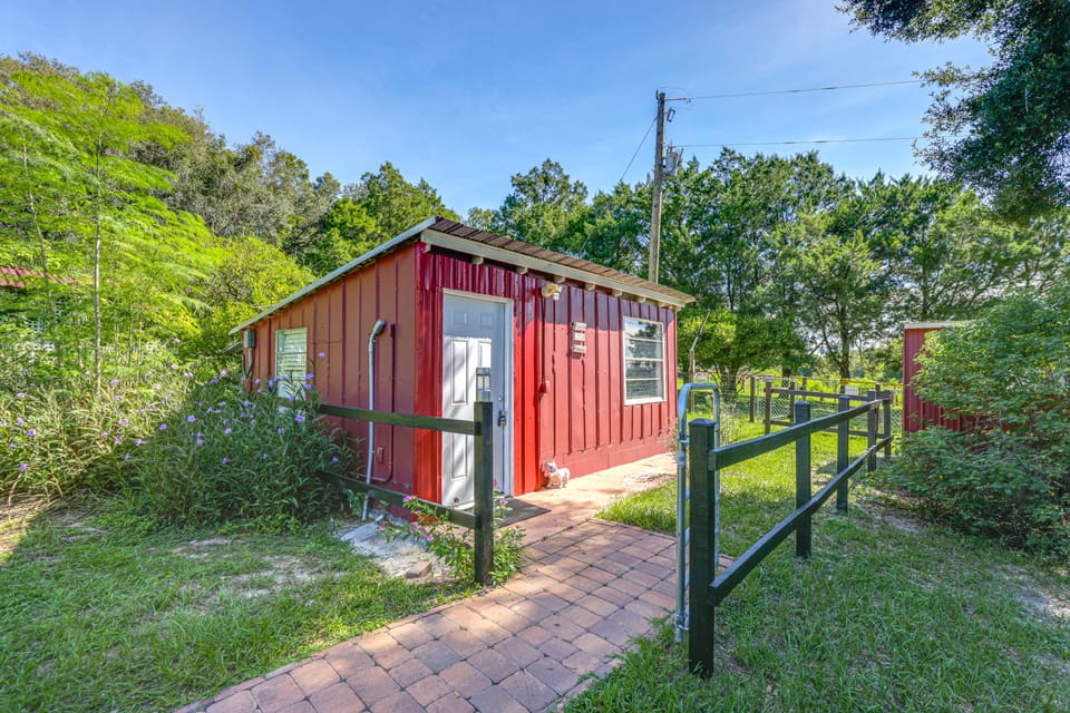 Near Lakes & Parks: Lady Lake Farm Getaway Apartment in Florida