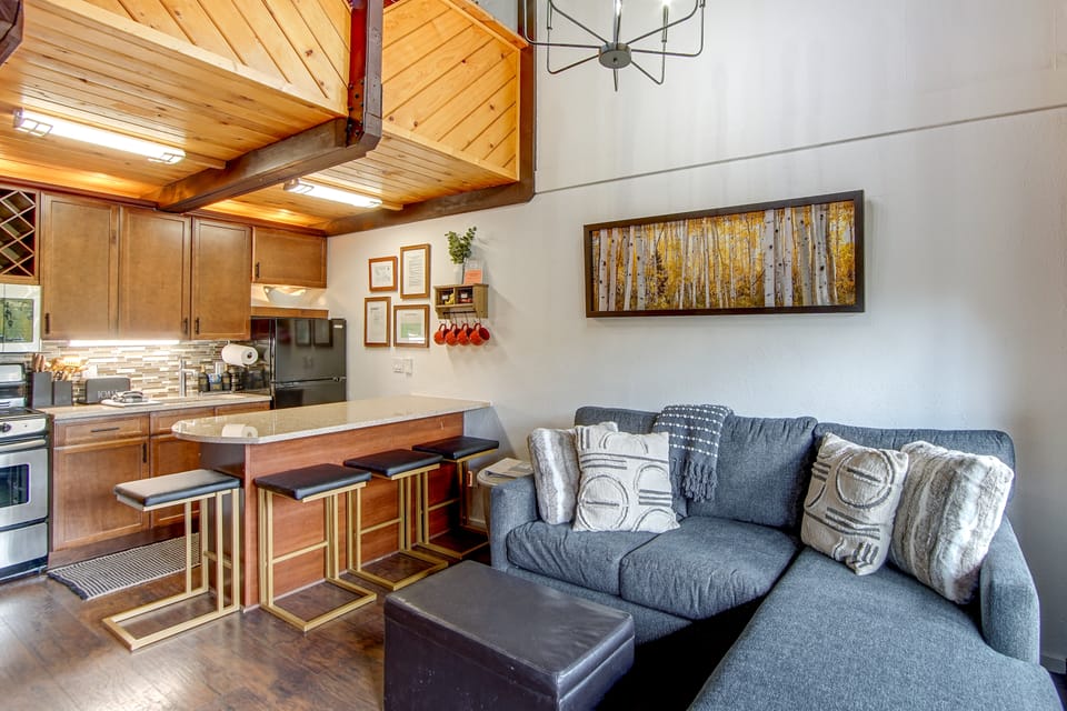 Cozy Brianhead Condo: Easy Walk to Giant Steps Apartment in Brian Head