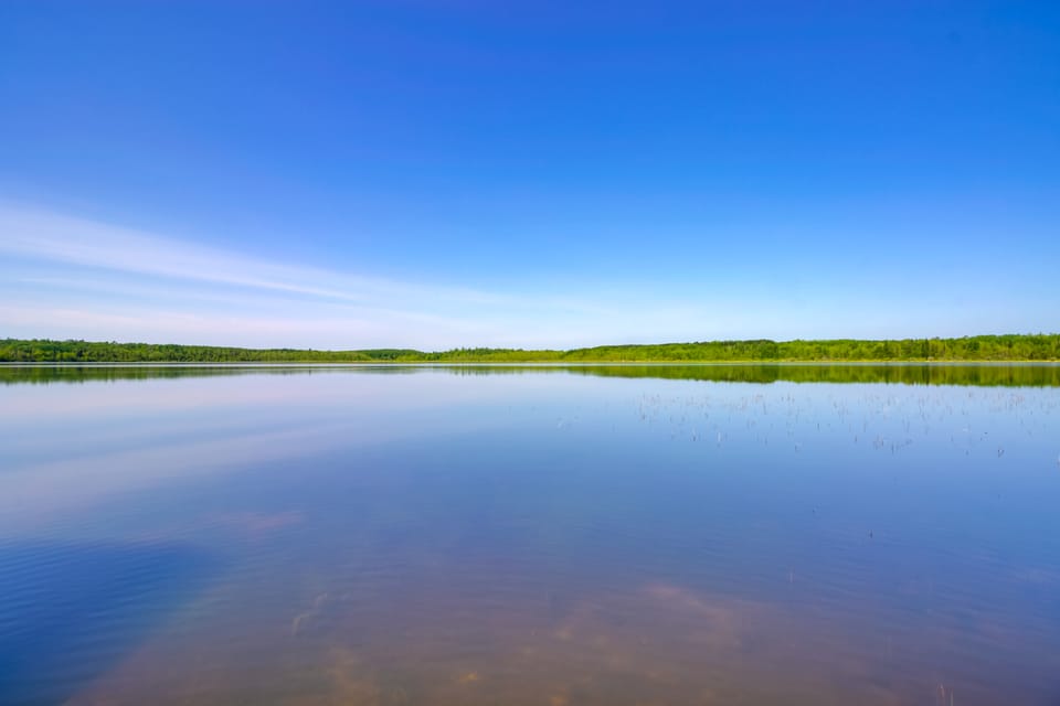 Pet-Friendly Cook Vacation Rental on Battle Lake! House in Minnesota