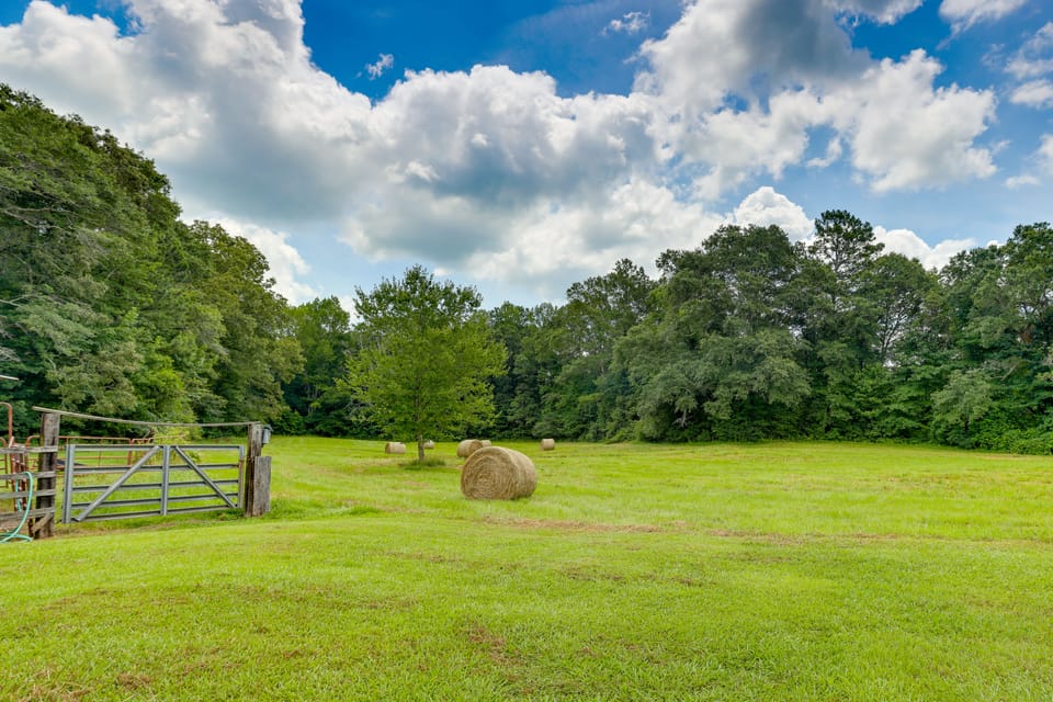 2 Mi to Lake: Lineville Farmhouse w/ Fire Pit House in Alabama