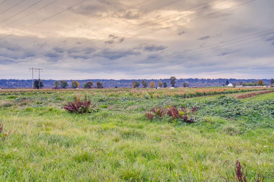 Chic & Modern Snohomish Hideaway on a Working Farm House in Everett