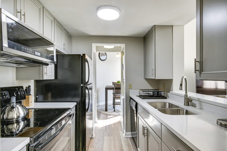 Columbia Vacation Rental - Walk to UofSC Campus! Apartment in Columbia