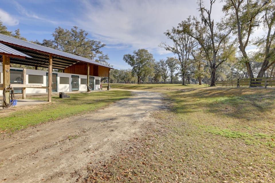 Morriston Studio: 13 Mi to World Equestrian Center Apartment in Florida