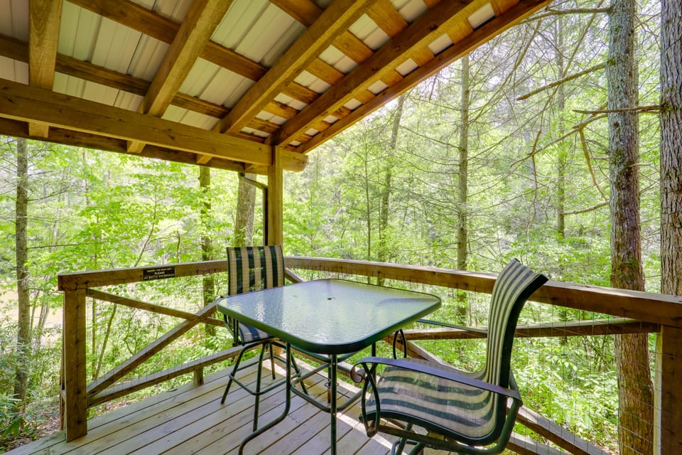 Winter Hiking + Hot Tub Soaks! Marion Mtn Cabin House in Tennessee
