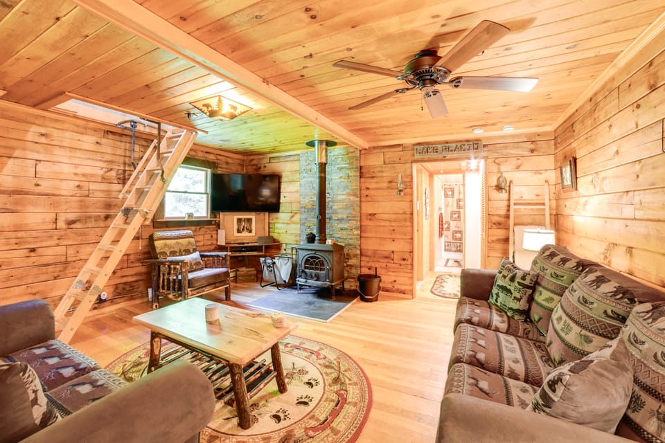 ‘Cardinal Pines’ Cabin on 8 Acres - Dog Friendly! House in New York