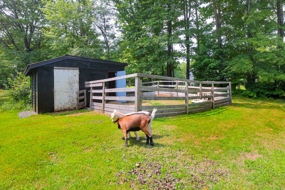 Peaceful Brookside Getaway ~10 Mi to Okemo Slopes! House in Chester