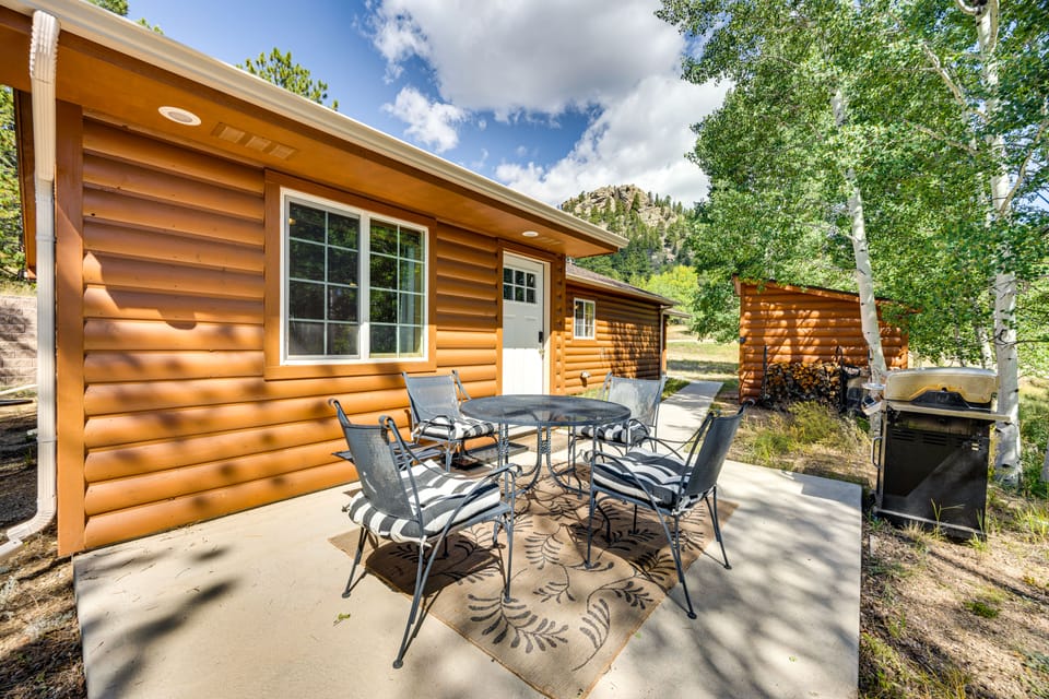 Cabin in Eleven Mile Village w/ Patio & Gas Grill! House in Park County
