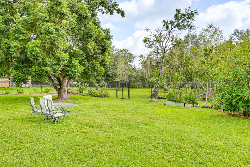 10 Mi to Adventure Island: Home w/ Fenced Yard! House in Lutz