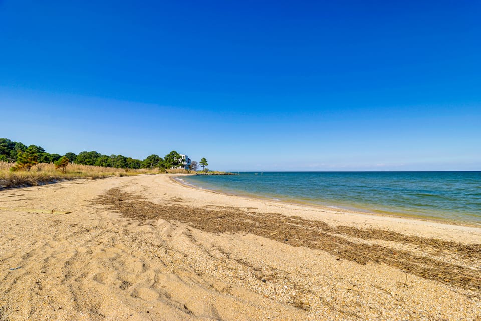 Walk to Beach: Pet-Friendly Gem in Scotland! Cottage in Maryland
