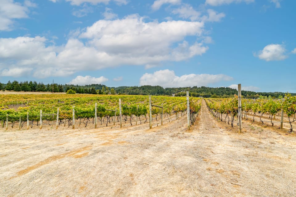 Romantic Vineyard Getaway in Oakland: Mtn Views! House in Oregon