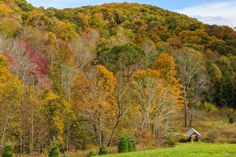 Hike, Ski & More: Blue Ridge Mountain Escape House in Watauga