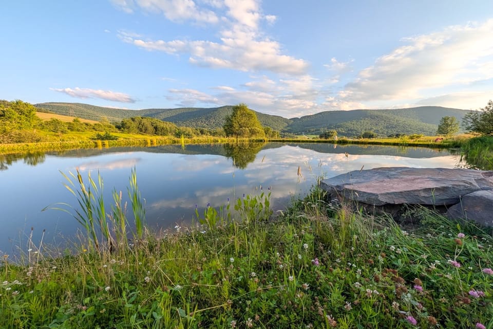 3 Mi to Catskill Trail: Stamford Cottage w/ Views Cottage in Hudson Valley