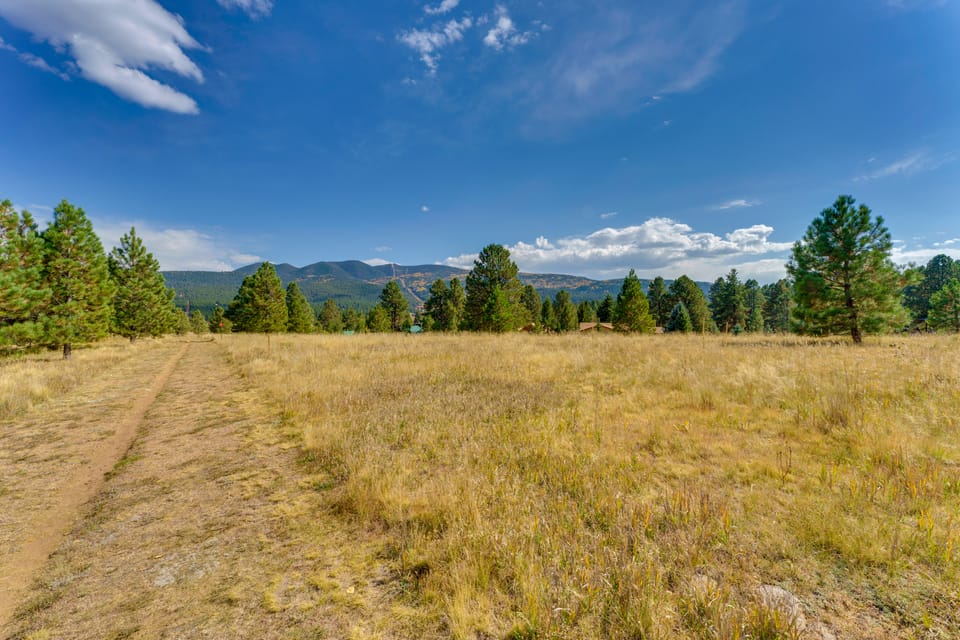 2 Mi to Angel Fire Resort: Mtn-View Condo! Apartment in Angel Fire