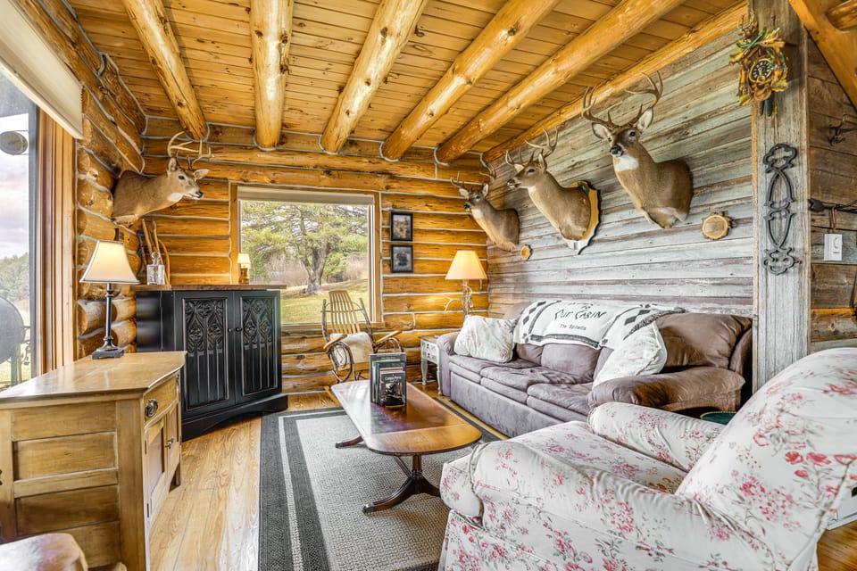 Fish & Hike on 180 Acres! Log Cabin in Almond House in Pennsylvania