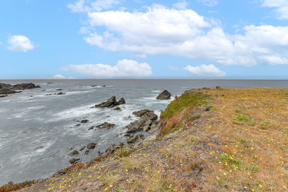 Whale Watch + Stargaze: Luxe Oceanfront Escape! House in Caspar