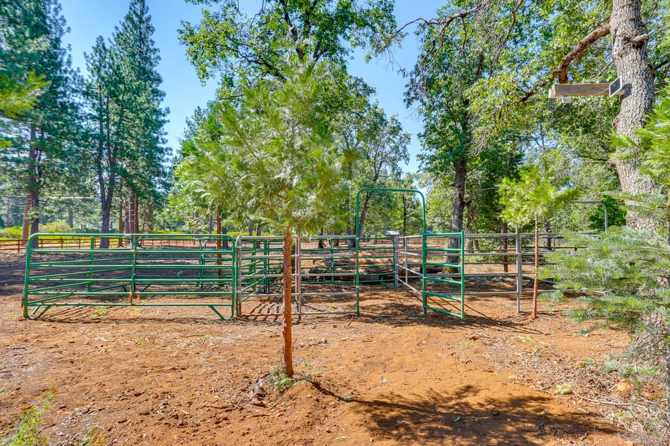 Private Horse Stall: Unplug at Shingletown Home! House in Shingletown