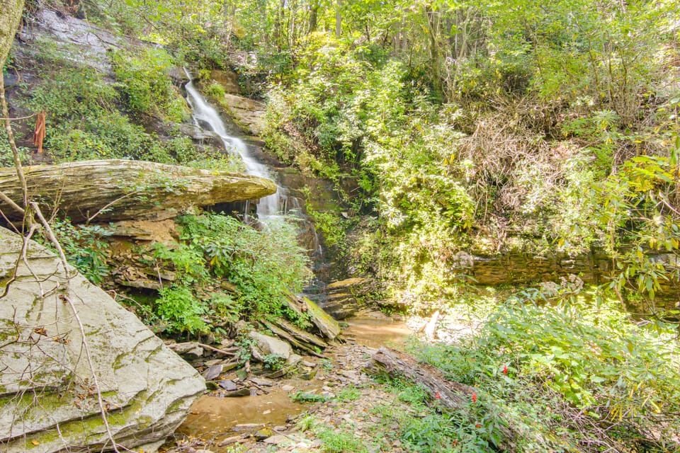 Amazing Waterfall! New Scenic Black Mtn Log Cabin House in Buncombe County