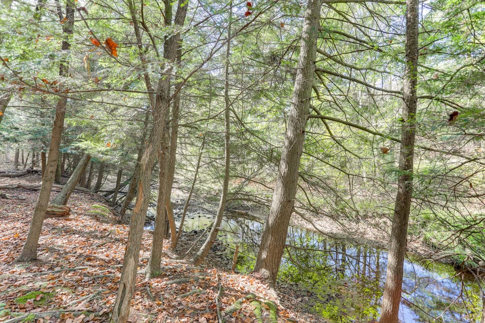 8 Private Acres: Little Mahoning Creek Cabin! House in Allegheny River