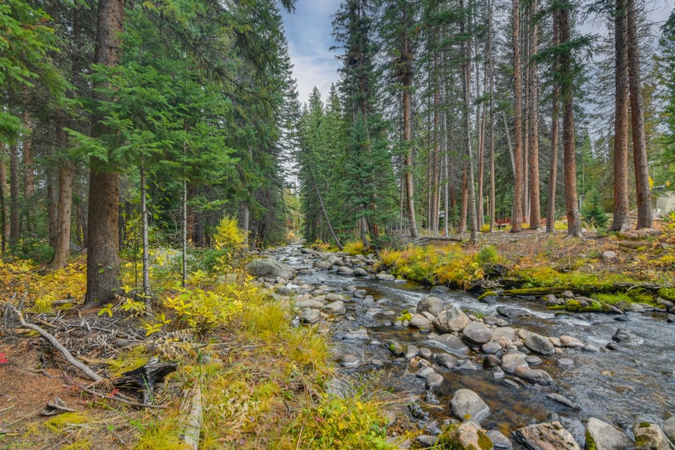 'The Mountain Chalet' - Free Ski Shuttle to Lifts! Apartment in Fraser