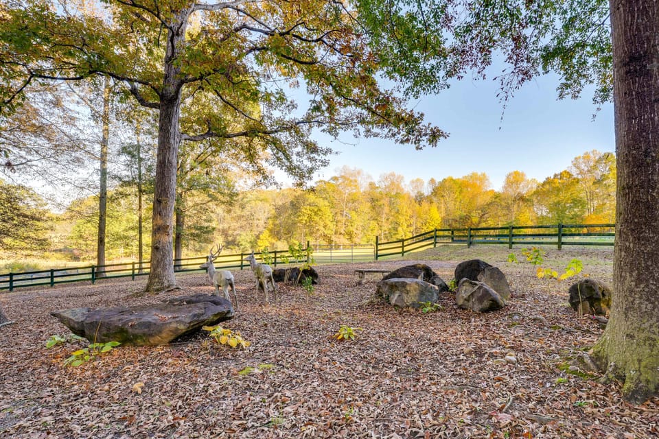 Cozy Couple’s Escape w/ Patio in Northwest Georgia House in Georgia