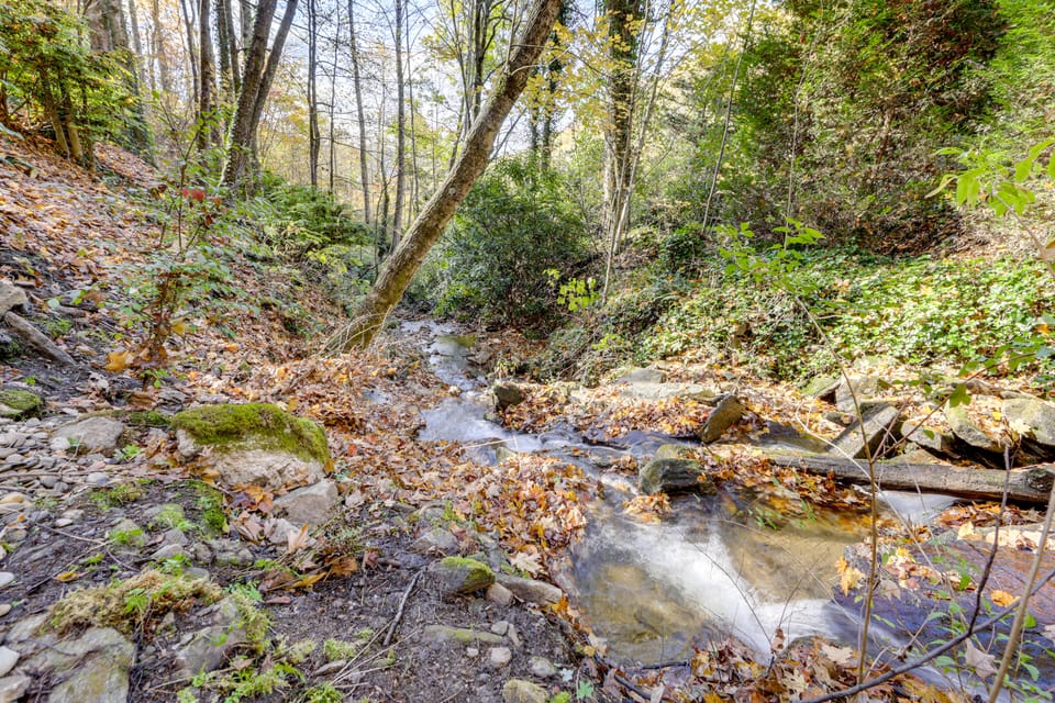 Creekside Cabin in the Heart of Maggie Valley House in Maggie Valley