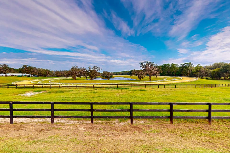 1 BR Guesthouse w/ Full Kitchen & Lake View Apartment in Florida