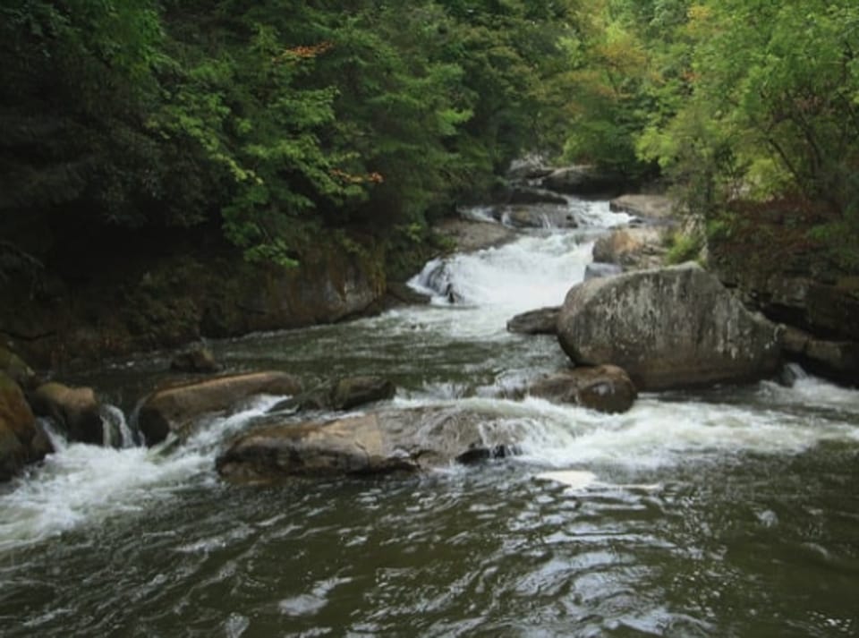 All-Season Base! 'Little River Retreat' in Boone House in North Carolina