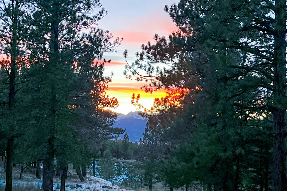 Tranquil Wet Mtn Cabin w/ Views on 3 Acres! House in Colorado