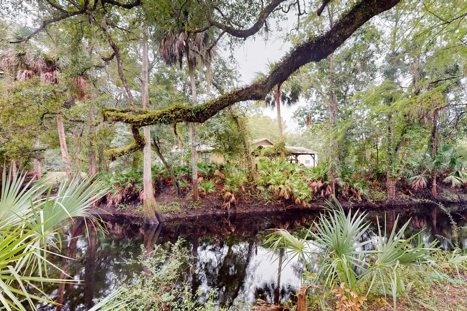 1BR Riverfront w/ Views, Canoe, Grill & Fire Pit House in Florida