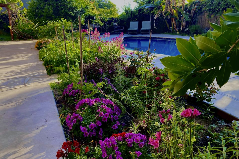 Walk to Torrey Pines Beach! 'Beachwalk Bungalow' House in La Jolla