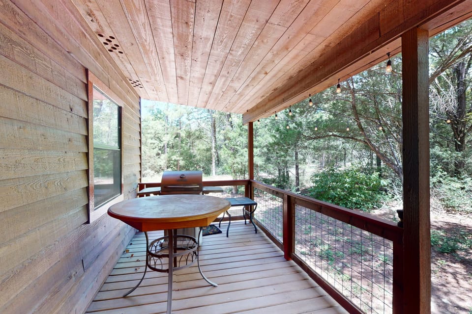 Serene & Secluded Paige Cabin: Dogs Welcome! House in Rio Grande