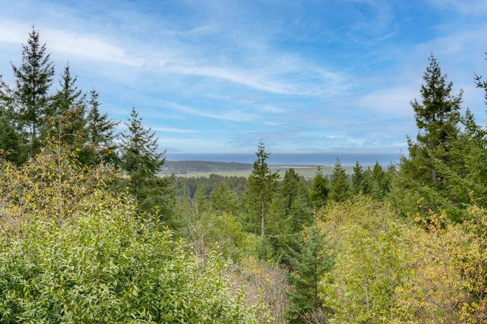 Pacific View Home: Hot Tub & Ocean/Valley Views! House in Oregon